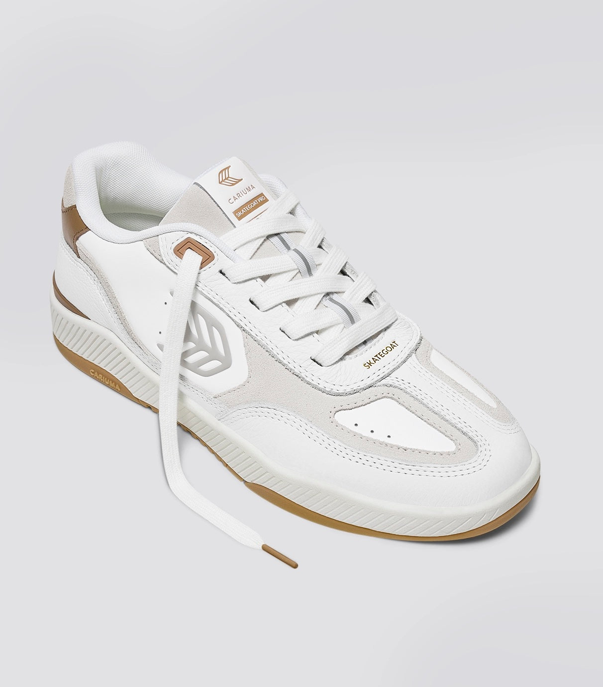SKATEGOAT C25