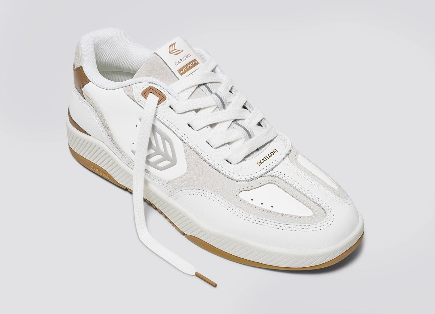 SKATEGOAT C25